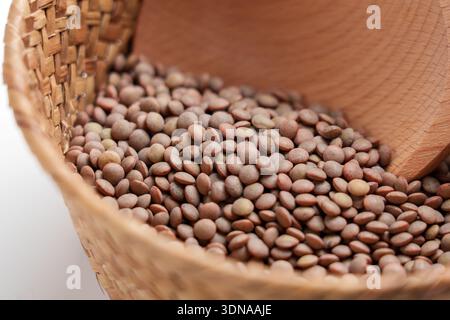 Ungekochte braune Linsenkörner in gewebtem Korb mit rustikalem Löffel. Traditionelle Rohzutat der mediterranen Küche. Makroaufnahme Stockfoto