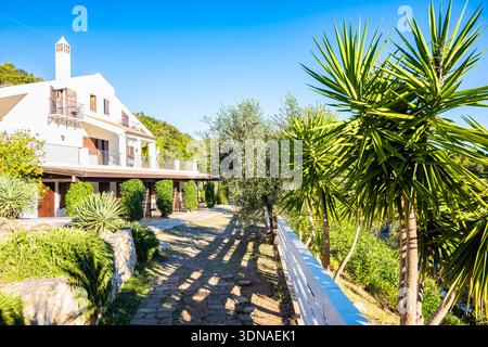 Charmante Landvilla umgeben von Olivenbäumen und mediterranen Gärten in Apulien, Italien Stockfoto