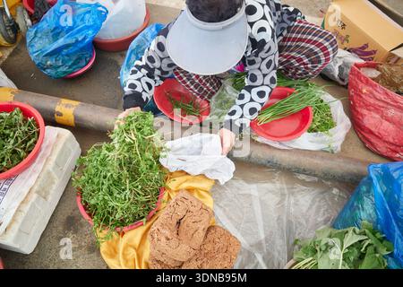 Authentische ländliche Szene mit älteren Händlern, die frisches Wildgemüse und Frühlingsgemüse auf dem 5-Tage-Markt in Cheongyang in Südkorea verkaufen. Stockfoto