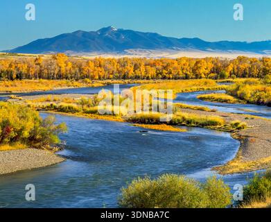 Herbstfarben entlang des jefferson River unterhalb der Rubinberge in der Nähe von Twin Bridges, montana Stockfoto