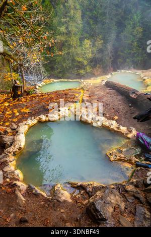 Die lebendigen, türkisfarbenen Pools der Umpqua Hot Springs stürzen sich durch terrassenförmig angelegte Felsformationen im malerischen Wald von Oregon Stockfoto