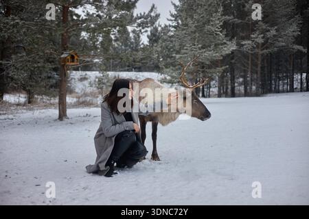 Die Frau kniet hinunter, um ein Rentier in einem schneebedeckten Wald zu streicheln. Bäume umgeben sie und schaffen eine Winterszene mit ruhiger Atmosphäre. Stockfoto