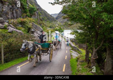 Pferdewagen auf der schmalen Straße durch die Gap of Dunloe, County Kerry, Irland. Stockfoto
