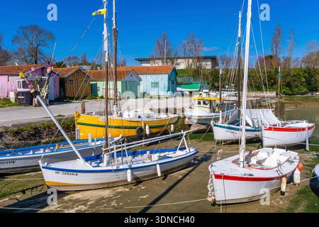 Frankreich, Charente Maritime, Le Chateau d'Oleron, der Hafen Stockfoto