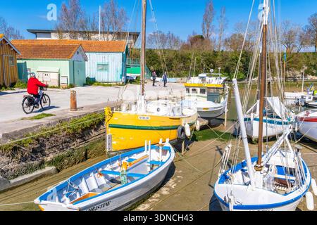 Frankreich, Charente Maritime, Le Chateau d'Oleron, der Hafen Stockfoto