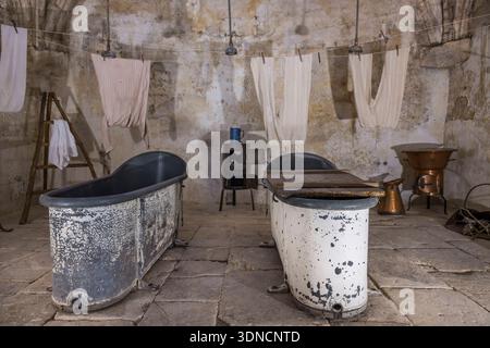 Frankreich, Bouches du Rhone, regionaler Naturpark der Alpilles, Saint Remy de Provence, Kloster Saint-Paul-de-Mausole, historisches psychiatrisches Anstalt Maison de santé Saint-Paul, in dem Van Gogh 1889-1890 interniert wurde Stockfoto