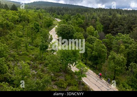 Frankreich, Vaucluse, Parc Naturel Regional du Mont Ventoux, Beduin, Fahrradbesteigung des Mont Ventoux über die Straße D974 am Südhang, Straße durch einen dicken Eichenwald und Hakenstifte (aus der Vogelperspektive) Stockfoto