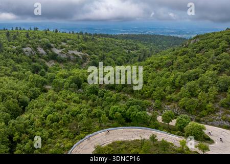 Frankreich, Vaucluse, Parc Naturel Regional du Mont Ventoux, Beduin, Fahrradbesteigung des Mont Ventoux über die D974 Straße am Südhang, Straße durch einen dicken Eichenwald (aus der Vogelperspektive) Stockfoto