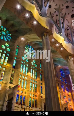 Spanien, Katalonien, Barcelona, Viertel Eixample, Basilika Sagrada Familia des katalanischen modernistischen Architekten Antoni Gaudi, gelistet als UNESCO-Weltkulturerbe, Buntglasfenster des Geburtsschiff neben dem katalanischen Maler und Glasmacher Joan Vila-Grau beleuchtet durch die warmen Projektionen der Buntglasfenster an der Passionsfassade Stockfoto