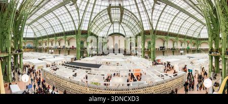 Frankreich, Paris, Le Grand Palais, Internationale Fotomesse: Paris Photo 2024, 27. Auflage Stockfoto