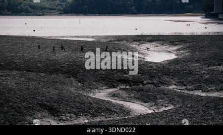 Eine riesige Panoramalandschaft mit komplexen Wasserkanälen, die sich durch natürliche Wattgebiete schlängeln. Die organischen S-Kurvenbahnen und die erdigen Sedimenttöne Stockfoto