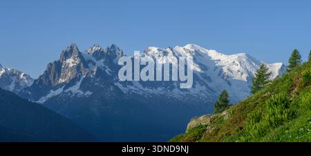 Frankreich, Haute Savoie, Chamonix-Mont-Blanc, Panoramablick auf das Mont-Blanc-Massiv mit Rhododendron und Lärchen im Vordergrund, Hintergrund dominiert die Aiguilles de Chamonix und das Mont-Blanc-Massiv 3842 (von links nach rechts): Grand Charmoz (3445 m), Aiguille de Blaitière 4248 (3522 4465 m), Aiguille 4810 du Plan (3673 m Dôme Goûter 4304 Goûter 3863 Stockfoto