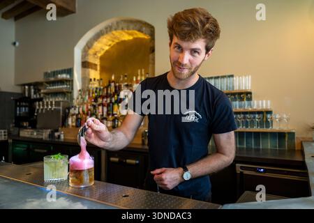 Frankreich, Cote d'Or, Dijon, von der UNESCO zum Weltkulturerbe erklärt, Le Barman roi du Cocktail Colin Lach dans Son Bar Nuage Place Bossuet Stockfoto