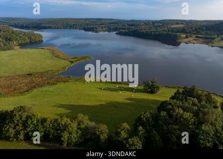 Frankreich, Nievre, regionaler Naturpark Morvan, See Saint-Agnan (Luftaufnahme) Stockfoto