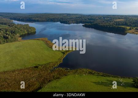 Frankreich, Nievre, regionaler Naturpark Morvan, See Saint-Agnan (Luftaufnahme) Stockfoto