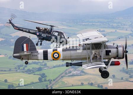Ein Luftbild, das 2024 einen Fairey-Schwertfisch Mk I und einen Westland Wasp HAS.1 zeigt, der zusammen über Sleapkosh, Shropshire, flog, beide in den Markierungen der Royal Navy. Der Swordfish Mk I ist ein einmotoriger dreisitziger Doppeldecker, der von einem luftgekühlten Bristol Pegasus IIIM Radialkolbenmotor angetrieben wird. Der Westland Wasp HAS.1 ist ein einmotoriger Marinehubschrauber, der von einem Bristol Siddeley Nimbus Turbowellenmotor mit einem vierblättrigen Hauptrotor angetrieben wird. Die Nahaufnahme zeigt Cockpits, Rumpf sowie Rotor- und Flügelstrukturen während des koordinierten Formationsfluges. Stockfoto