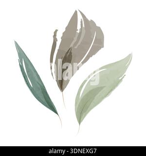 Eine einfache Aquarellabbildung mit drei zarten Pflanzenblättern. Die Blätter zeigen weiche Pinselstriche in Grün- und gedämpften Grautönen, die auf einem schlichten weißen Hintergrund stehen. Stock Vektor