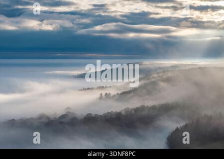 Am frühen Morgen ist der Nebel im Haldon Forest in Devon, England. Winter (Januar) 2026. Stockfoto