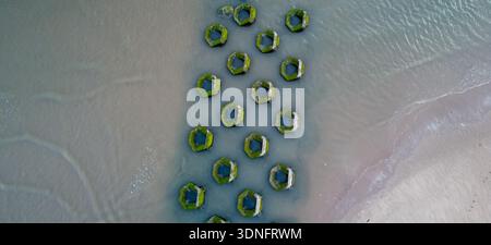 Luftaufnahme von moosbedeckten sechseckigen Betonabwehranlagen in Flachwasser Stockfoto