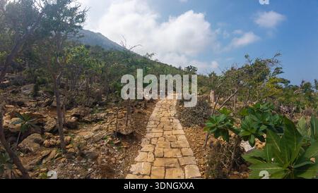Gepflasterter Wanderweg, der sich bergauf durch felsige Buschwälder an einem Berghang unter blauem Himmel mit Wolken schlängelt, natürliche Abenteuerlandschaft im Freien Stockfoto
