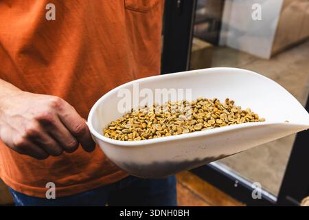 Eine geschwungene, weiße Schüssel, gefüllt mit grünen Kaffeebohnen, ist bereit zum Rösten. Die Person trägt ein orangefarbenes Hemd in einer modernen Innenumgebung Stockfoto