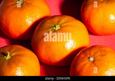 Mandarinengruppe auf rotem Hintergrund Stockfoto