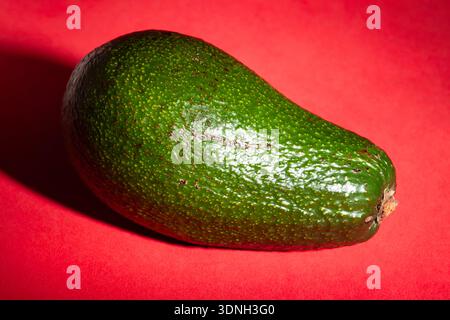 Eine Avocado auf rotem Hintergrund Stockfoto