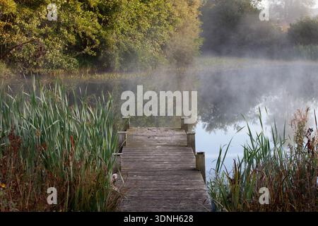 Holzsteg auf einem nebeligen See im Vale of Glamorgan, Wales, umgeben von Schilf und Bäumen an einem ruhigen Herbstmorgen mit sanften Reflexen. Stockfoto