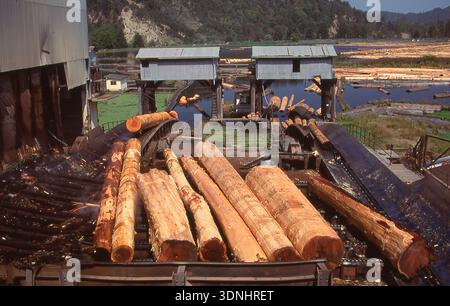 Holzfabrik in Nordkalifornien, USA 1992 Stockfoto