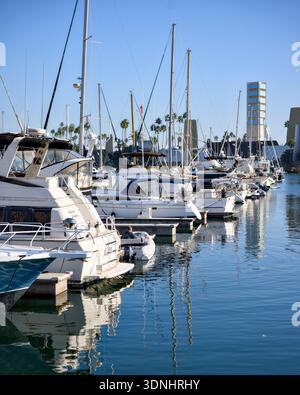Eine Reihe von Yachten, die am sonnigen Tag in Long Beach im Yachthafen vertäut sind Stockfoto