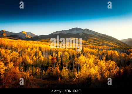 Sonnenuntergang über Aspenwald am Beckwith Berg Stockfoto