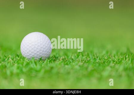 Nahaufnahme des Golfballs auf dem grünen Gras Stockfoto