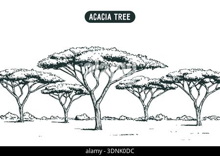 Vintage Gravurlandschaft mit mehreren Akazienbäumen an einem flachen Savannenhorizont. Große szenische Illustration. Stock Vektor