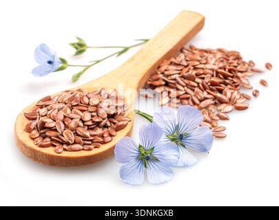 Flachssamen in Holzlöffel und zarte Flachsblüte isoliert auf weißem Hintergrund. Datei enthält Beschneidungspfade. Stockfoto