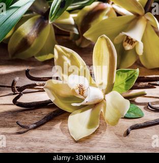 Gelbe Motten-Orchideenblüten, grüne Blätter und Vanillestangen auf Holztisch. Stockfoto