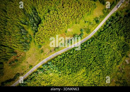 Von oben nach unten auf eine enge Straße, die sich an einem sonnigen Tag zwischen dichtem grünen Wald biegt. Stockfoto