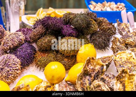 Frische Austern und Abalone werden auf Eis mit Zitronen auf einem Fischmarkt auf dem berühmten Lebensmittelmarkt La Boqueria in La Rambla, Barcelona, präsentiert Stockfoto