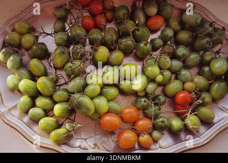 Tomaten der Reifen Rebsorte auf einer Metallschale auf 35-mm-Folie Stockfoto