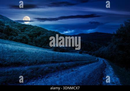 Landstraße den Hügel hinunter durch das Feld nachts. Schöne Landschaft der bergigen Gegend vor dem Sommersturm im Vollmondlicht. myst Stockfoto