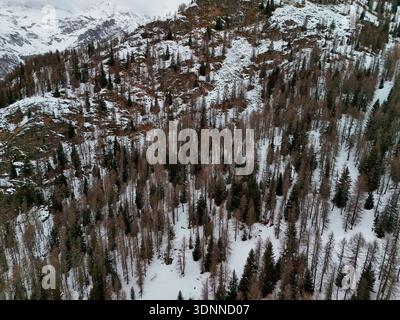 Ein Wald im Bergdorf Chamois aus der Vogelperspektive im Winter Stockfoto