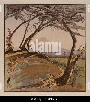 Historische Illustrationen des Mount Orizaba von Helen Hyde, 1912. Farbiger Holzschnitt auf Papier, der windgepeitschte Bäume zeigt, die den entfernten mexikanischen Vulkan unter einem weichen Himmel umrahmen. Stockfoto