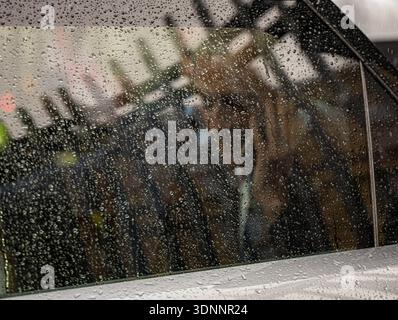 London, Großbritannien. Februar 2025. Nigel Farage, Abgeordneter von Reform UK, verlässt das parlament nach den PMQ's London UK Credit: Ian Davidson/Alamy Live News Stockfoto