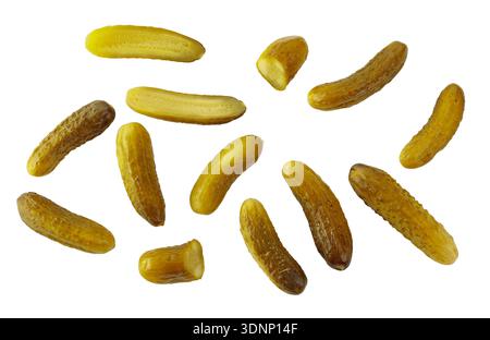 Hausgemachte eingelegte Gurken, isoliert auf weißem Hintergrund. Traditionelle fermentierte Speisen. Stockfoto