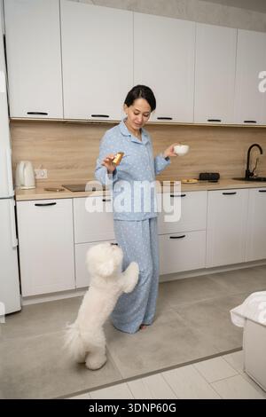 Eine Frau im blauen Pyjama steht in einer modernen Küche mit einer Kaffeetasse und einem Snack, während ihr flauschiger Hund auf den Hinterbeinen steht und eifrig nach oben blickt Stockfoto