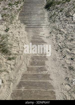 Hölzerne Promenade durch die Sanddünen an der Küste auf dem Jakobsweg in Portugal. Reisemarketing, nachhaltige Tourismusförderung, Outdoor Stockfoto