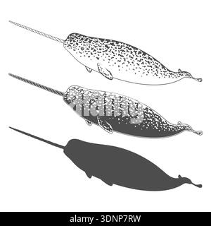 Satz von schwarz-weißen Illustrationen Tier-Narwal, Meer-Einhorn. Isolierte Vektorobjekte auf weißem Hintergrund. Stock Vektor