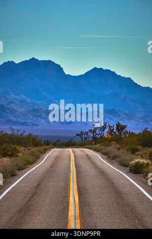 Leere Wüstenstraße, die zu fernen Bergen mit Joshua-Bäumen in Mojave führt Stockfoto