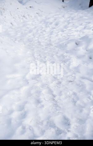 Schneebedeckter Fußweg in einer ruhigen Winterlandschaft: Zertrampelter weißer Weg, flankiert von sanften Drifts und blassblauen Schatten, die an kalte, ruhige Minimalis erinnern Stockfoto