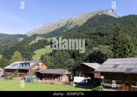 Blick von Au zur Kanisfluh im Bregenzerwald, Vorarlberg, Österreich // Blick von Au zur Kanisfluh im Bregenzerwald, Vorarlberg, Österreich - 20250720 PD15254 Stockfoto