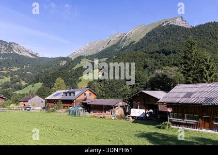 Blick von Au zur Kanisfluh im Bregenzerwald, Vorarlberg, Österreich // Blick von Au zur Kanisfluh im Bregenzerwald, Vorarlberg, Österreich - 20250720 PD15255 Stockfoto